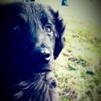 Profile Picture of Julia Kittell (@julia.m.kittell) on Myspace