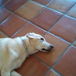 Maxx Dooling - Facebook Profile Picture of Maxx Dooling (@maxx.dooling) on Facebook