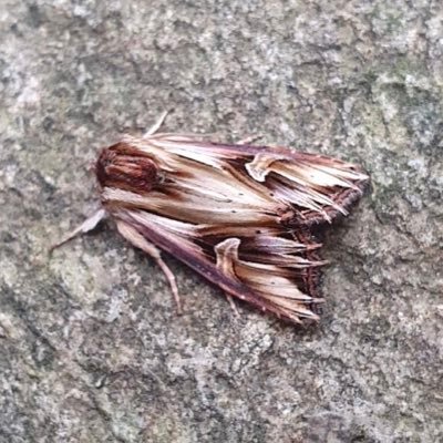 Profile Picture of Ben Driver (@blicklingben) on Twitter