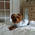 Profile Picture of Nidia Colon (@nidiadrake) on Instagram