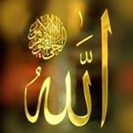 Profile Picture of Sheren Shawky (@sheren.shawky) on Instagram