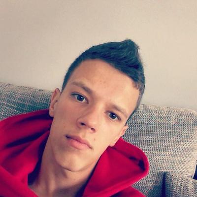 Nikola Josipovic - Twitter Profile Picture of Nikola Josipovic (@dan_danasnji) on Twitter