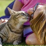 Profile Picture of Lisa Dobbin (@flyindonkey) on Instagram