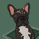 Profile Picture of Arthur Pritchett (@arthurpthefrenchie) on Instagram