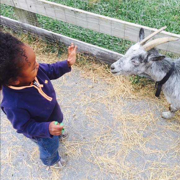 Profile Picture of Maia Daniels (@mtzm1323) on Poshmark