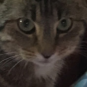 Profile Picture of Mia Scott (@heatherscott6812) on Youtube