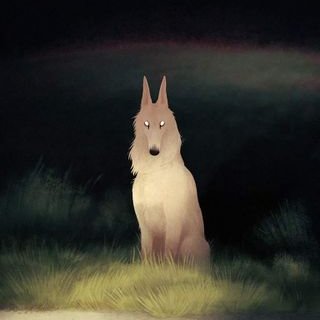Profile Picture of Devin Wolf (@DevinWo92337294) on Twitter