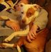 Profile Picture of Scott Humphrey (@scott.humphrey.393950) on Facebook