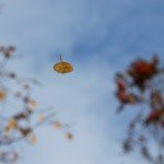 Profile Picture of Grant (@grantmcwilliams2) on Instagram