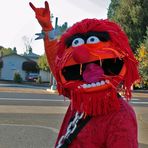 Profile Picture of Bernie Womble (@bernie.womble) on Facebook