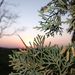 Profile Picture of Marcela Edith Pin (@marcelaedithp) on Pinterest