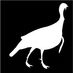 Profile Picture of Hal Peeples (@spur_bird) on Twitter