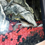 Profile Picture of Michael Wymer III (@michaelwymeriii1742) on Youtube