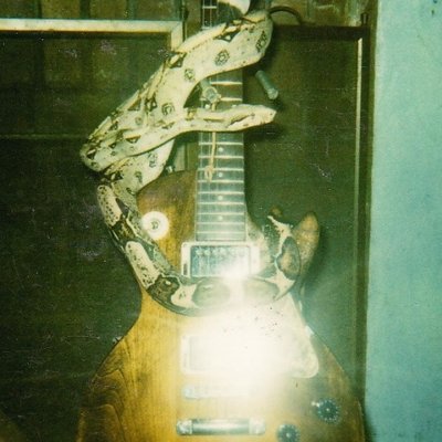 Profile Picture of Bob Shealey (@rshiele) on Twitter