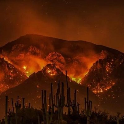Profile Picture of Daniel Mccray (@DanielM46166400) on Twitter