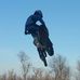 Profile Picture of Chad Conger (@chad.conger1) on Facebook