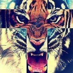 Profile Picture of Alfredo Partida (@BlackMen09) on Twitter