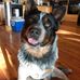 Profile Picture of Paul Schoeller (@paul.schoeller.3) on Facebook