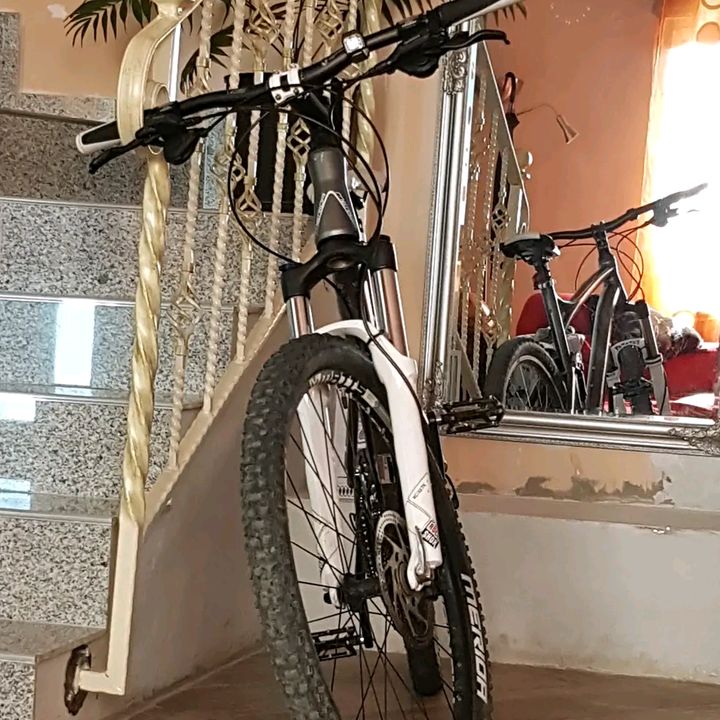 Profile Picture of _david.bar_ (@_david.bar_) on Tiktok