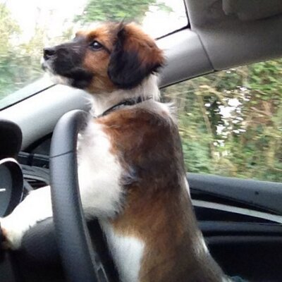 Profile Picture of Philip Conlon (@PhilipConlon) on Twitter