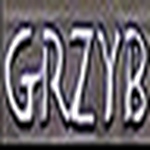 Peter Romaniuk - Flickr Profile Picture of Peter Romaniuk (@PJRComputerSolutions) on Flickr