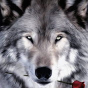 Profile Picture of Jose Malpica (@josemalpica2256) on Youtube