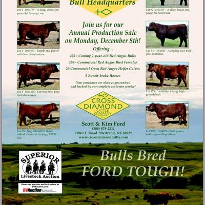 Profile Picture of Corey Cable (@TriangleYcattle) on Twitter