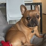 Profile Picture of Seth Katz (@zonakatz) on Instagram