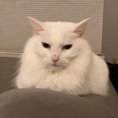 Profile Picture of Dustin Sauer (@DustinSauer5) on Twitter