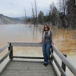 Profile Picture of Lisa Plendl (@lkplendl) on Pinterest