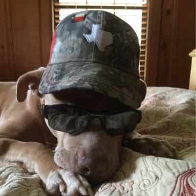 Profile Picture of Terry Crain (@bigdaddytcrain) on Twitter