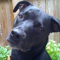 Profile Picture of Gabrielle Sigal (@gabrielle-sigal) on Quora