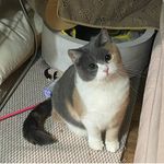 Profile Picture of Caroline Howard-Spitzer (@ericajoy.hs) on Instagram