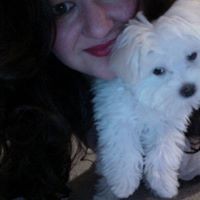 Profile Picture of Roya Sadiqi (@roya-sadiqi) on Quora
