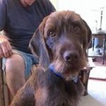 Profile Picture of Myrna Tripp (@trippmyrna) on Instagram