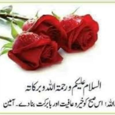 Profile Picture of Sarfaraz Ahmad (@shazan2020) on Twitter