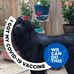 Profile Picture of Lynn Matthews (@lynn.matthews.77920) on Facebook