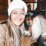 Profile Picture of Devon (@featheredhillfarm) on Instagram