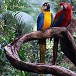 Profile Picture of Edison Gilbert Gonzalez Zapata (@edisongilbertgonzalezzapata) on Instagram