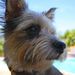 Profile Picture of Becky Gregory (@beckyjgregory) on Pinterest