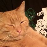 Profile Picture of Guy Wolkwitz (@thecontinuumtransfunctioner) on Instagram