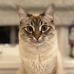 Profile Picture of Sarah Tueting (@sarah.tueting.1) on Facebook