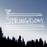 Profile Picture of James Hodson (@the_stringdom) on Instagram