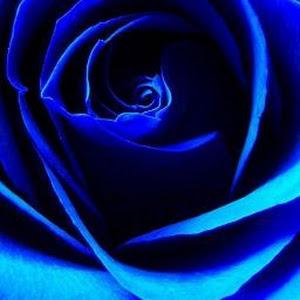 Profile Picture of keytafoster (@keytafoster) on Tiktok