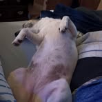 Profile Picture of Lorraine Boudreaux (@Lorraine-Boudreaux) on Facebook