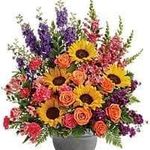 Profile Picture of Carol Burgett (@kimsue743) on Instagram