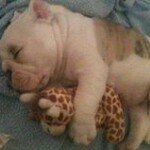 Profile Picture of Chloe Nicole Bissett (@chloe_levi_lola) on Instagram