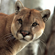 Profile Picture of Luz Barrientos (@luzbarrientos3929) on Youtube