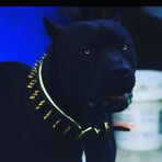 Profile Picture of Lori Bennett (Lori Ann Bennett) (@lori.bennett.942) on Facebook