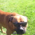 Profile Picture of Kyleferrier_2181 (@kyleferrier2004) on Instagram